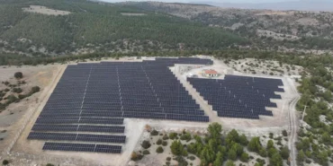 Sektör Liderinden Küresel Dönüşüm Adımı