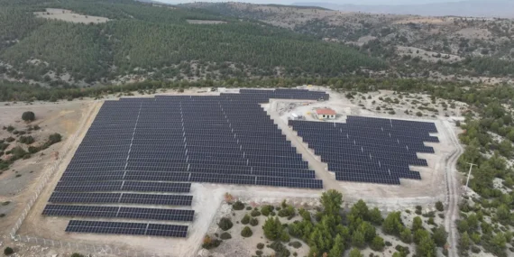 Sektör Liderinden Küresel Dönüşüm Adımı