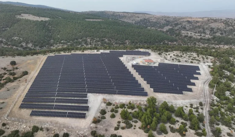 Sektör Liderinden Küresel Dönüşüm Adımı